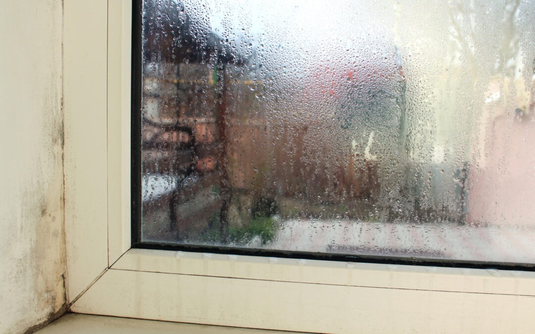 The Do’s and Don’ts of Fixing a Leaky Window