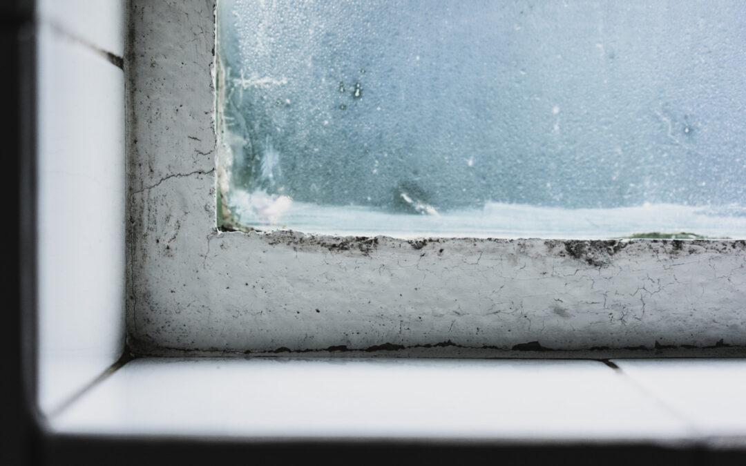 How to Spot Hidden Window Leaks Before They Cause Damage in Colorado Homes
