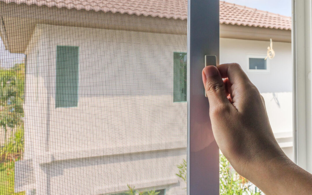 Causes and Solutions for Common Window Screen Issues