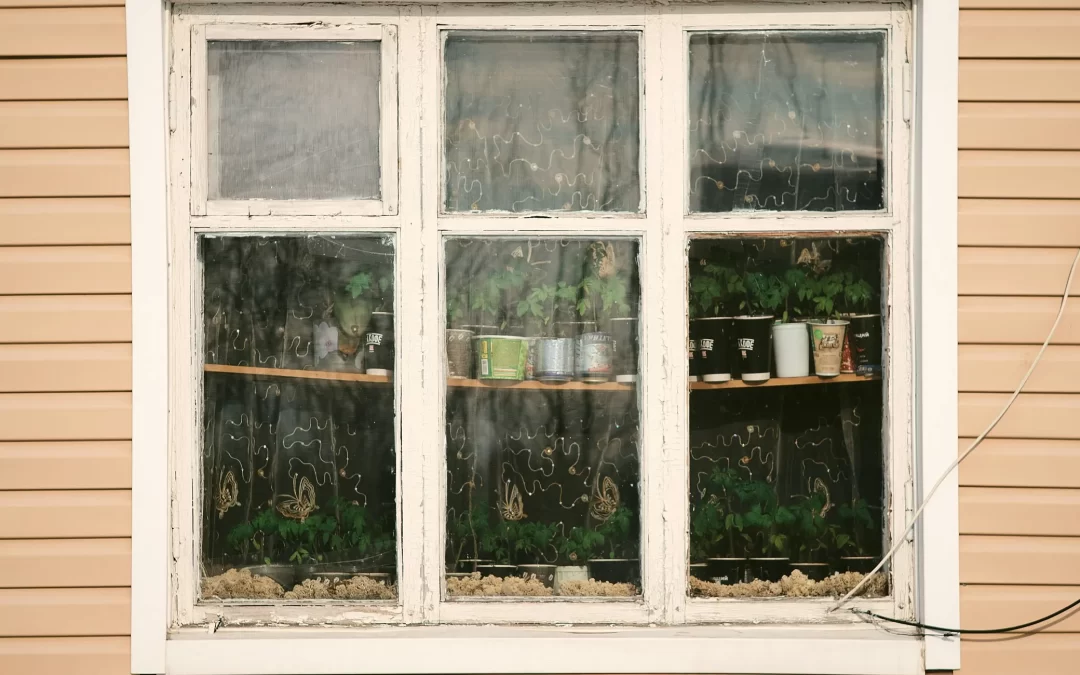Troubleshooting Drafty Windows: Quick Fixes vs. Long-Term Solutions