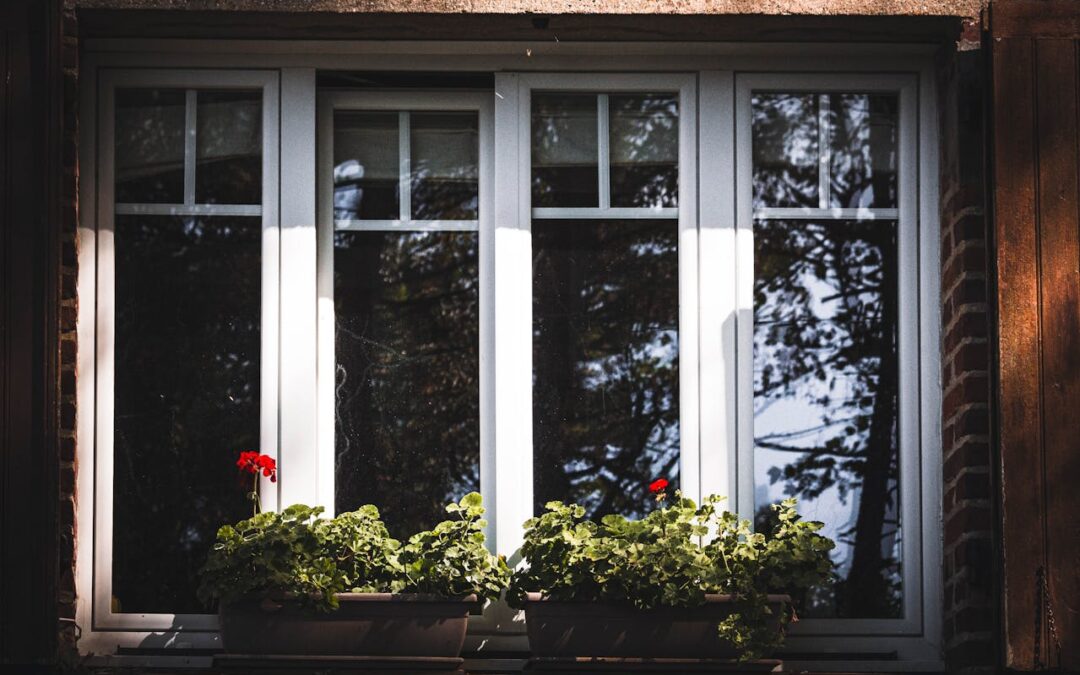 Finding Quality Glass Replacement Services in Colorado Springs