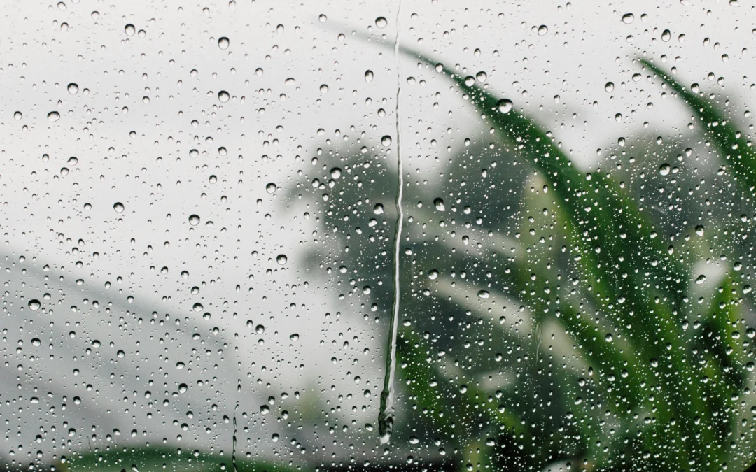 What Kinds of Issues Can Leaky Windows Cause?