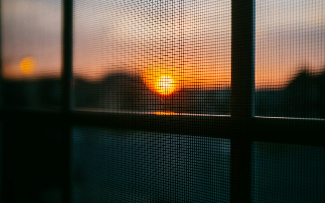 What to Consider When Replacing Your Window Screens