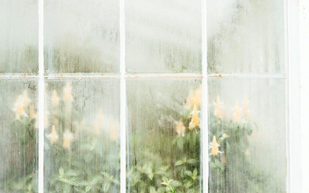 Understanding Why Window Panes Get Foggy or Cloudy