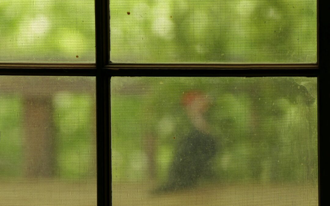 What to Know Before Installing New Window Screens