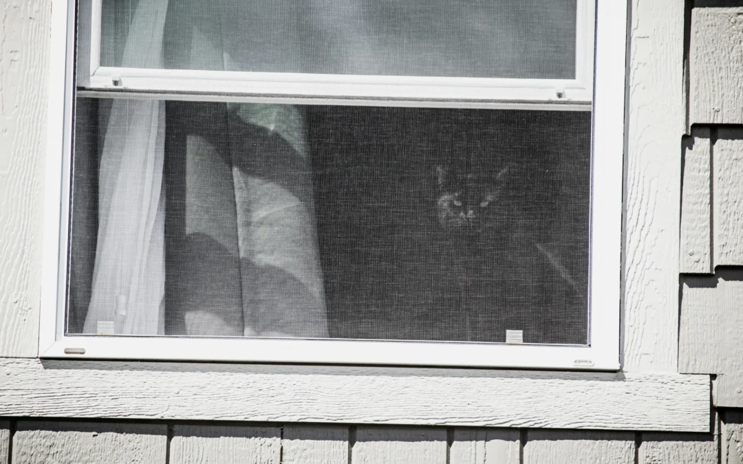 window screen repair