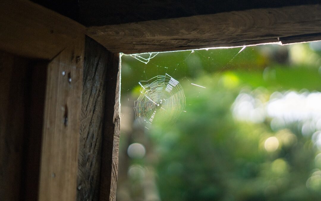 How to Fix Your Broken Window Panes Without Panicking