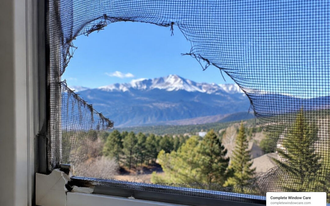 window screen repair Pikes Peak region damaged screen Rocky Mountains view